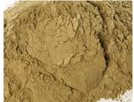 Bentonite Suppliers in India